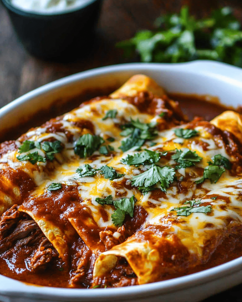 Birria Enchiladas