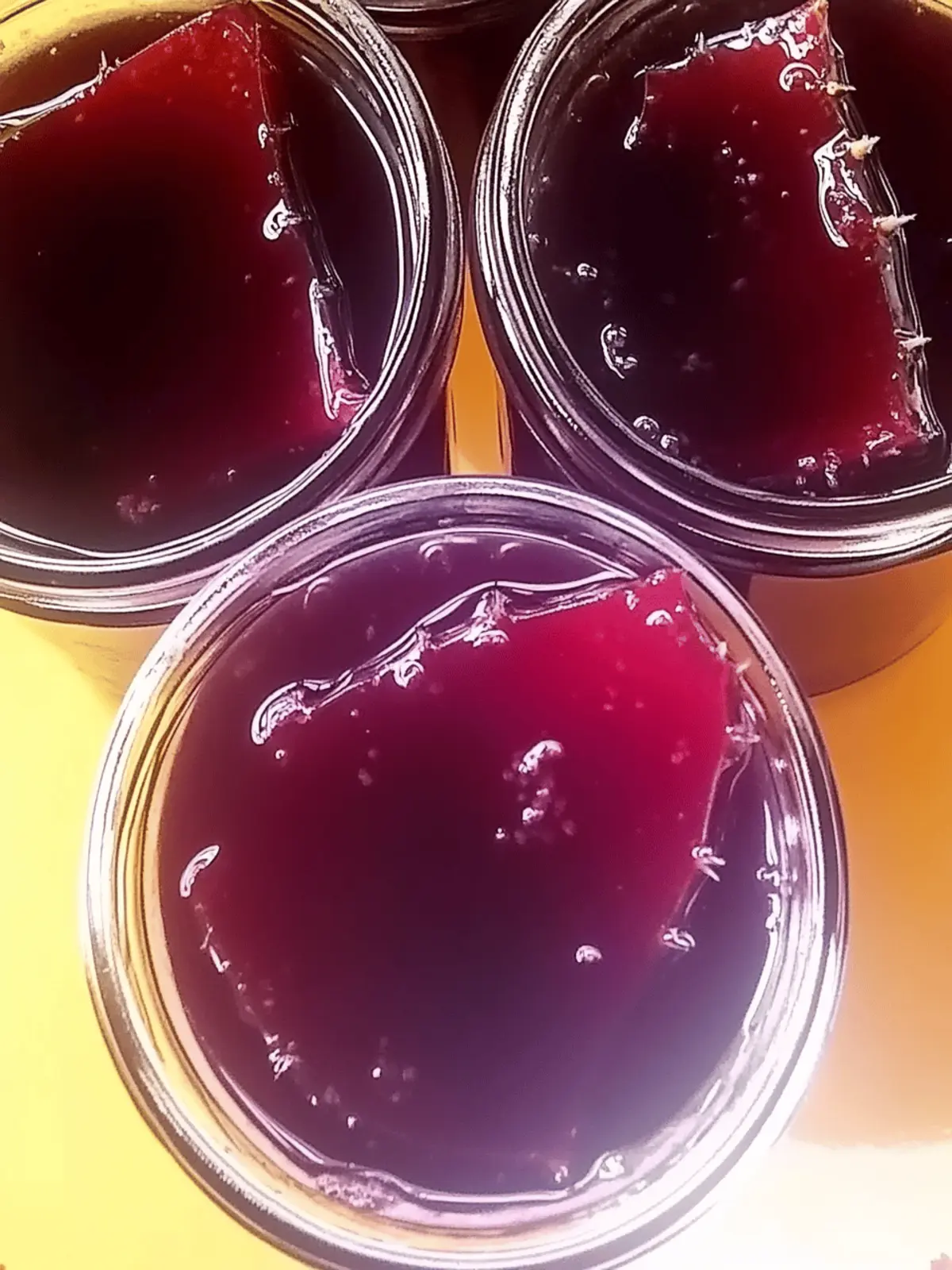 Prickly Pear Cactus Jelly
