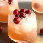 Cranberry Sparklers: Your Perfect Party Cocktail Delight 6 Cranberry Sparklers