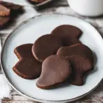Chocolate Cut-Out Cookies That Wow with Rich Flavor and Fun 5 Chocolate Cut-Out Cookies