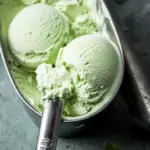 Creamy Fresh Mint Ice Cream That’s Perfect for Summer Fun 8 Fresh Mint Ice Cream