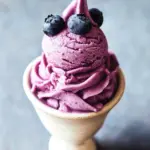 Delicious Vegan Blueberry Frozen Yogurt That You’ll Love 41 Blueberry Frozen Yogurt